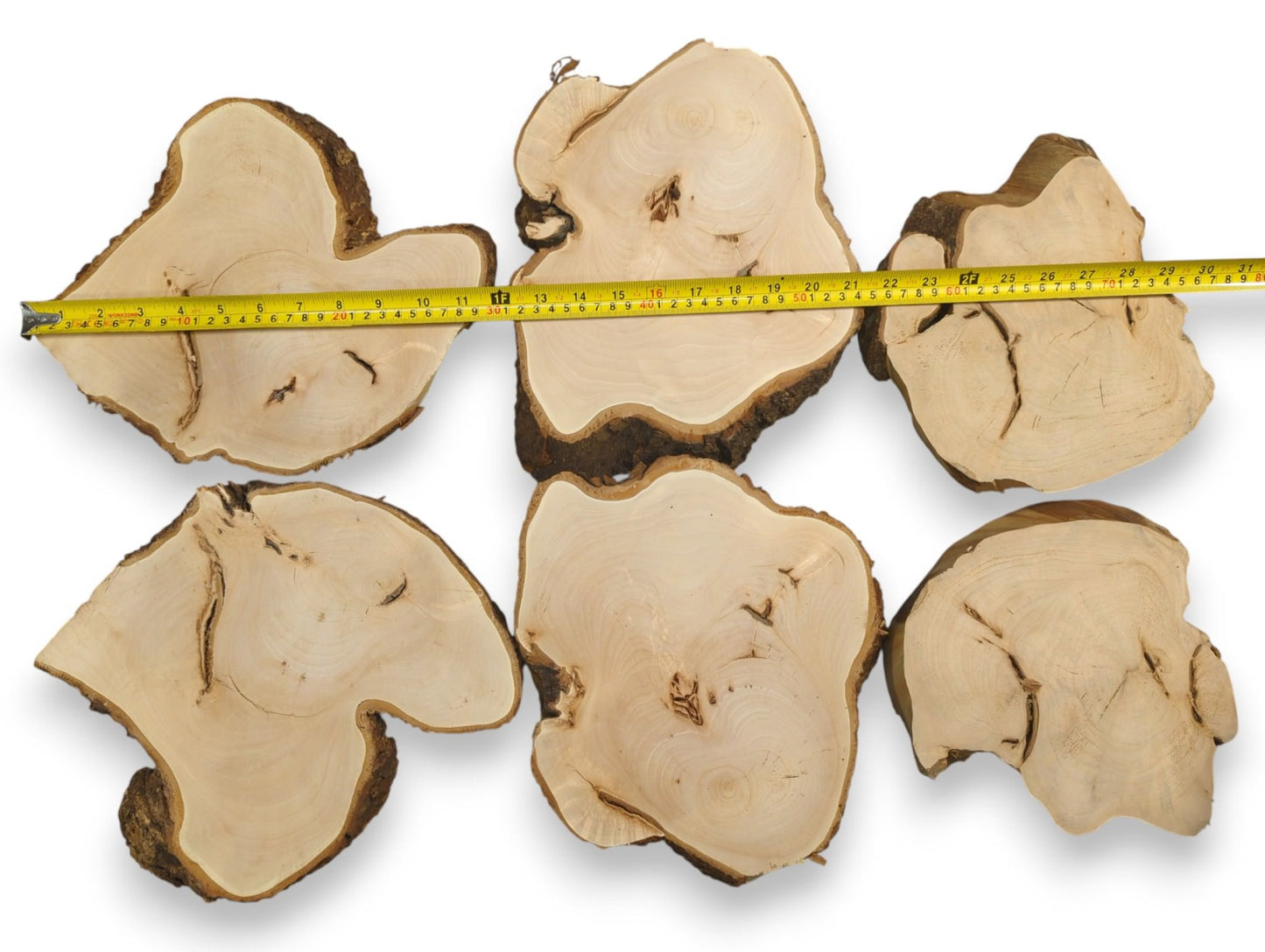 Six irregular linden wood slices feature planed light faces, dark bark edges, and a yellow measuring tape.