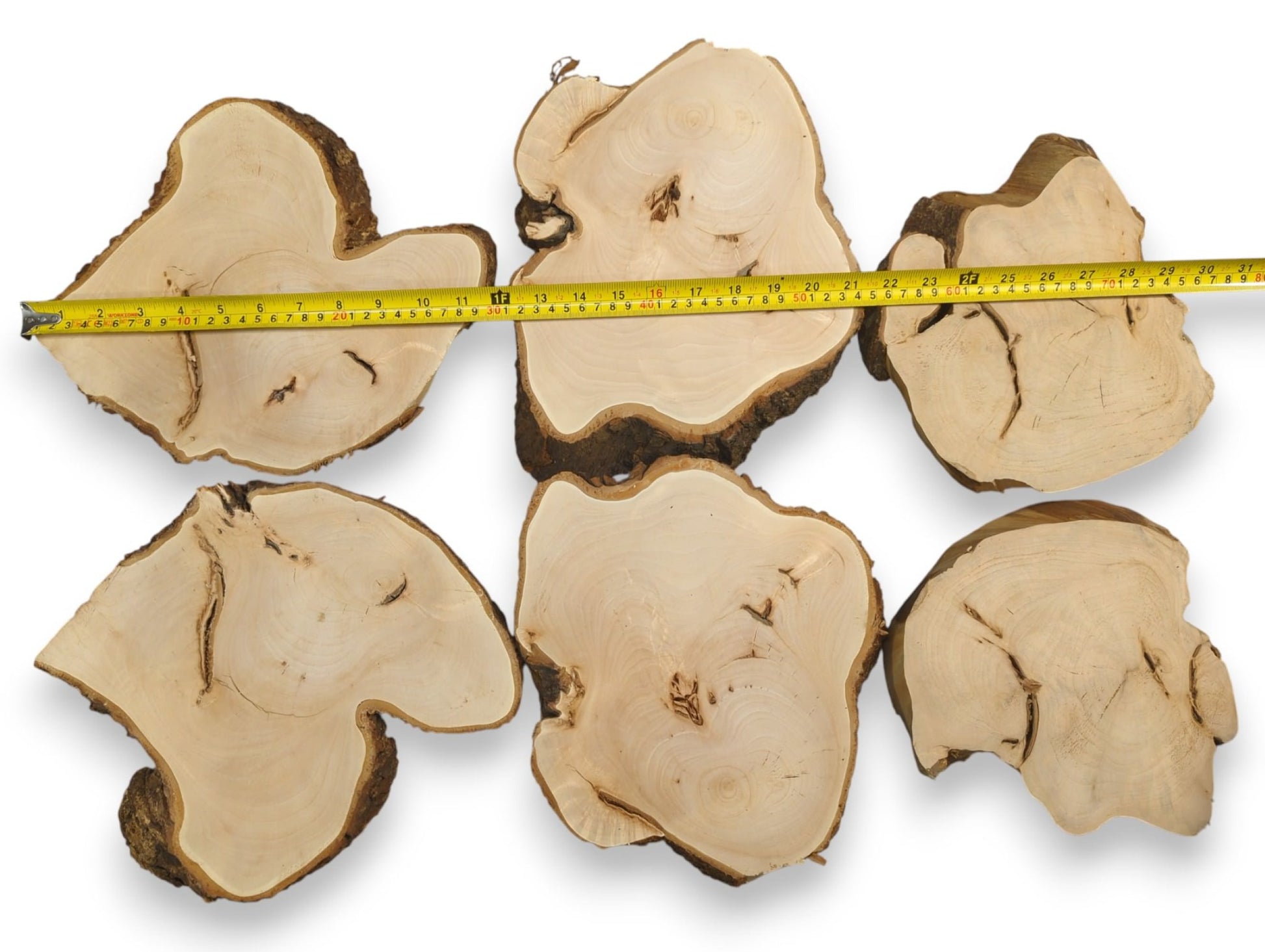 Six irregular linden wood slices feature planed light faces, dark bark edges, and a yellow measuring tape.