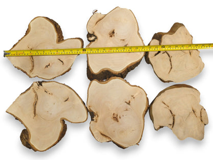 Six irregular linden wood slices feature planed light faces, dark bark edges, and a yellow measuring tape.