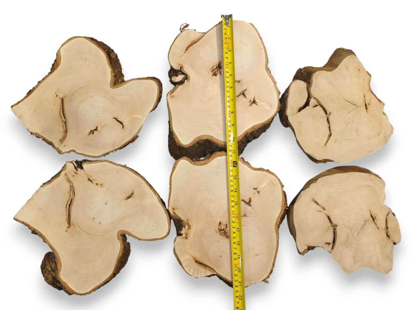 Pale linden wood slices, irregular in shape with dark bark edges, include a yellow measuring tape.