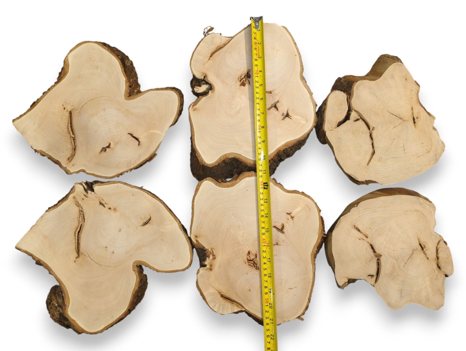 Pale linden wood slices, irregular in shape with dark bark edges, include a yellow measuring tape.