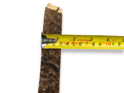 Textured, dark brown linden bark piece displayed vertically, with a yellow measuring tape showing its width.