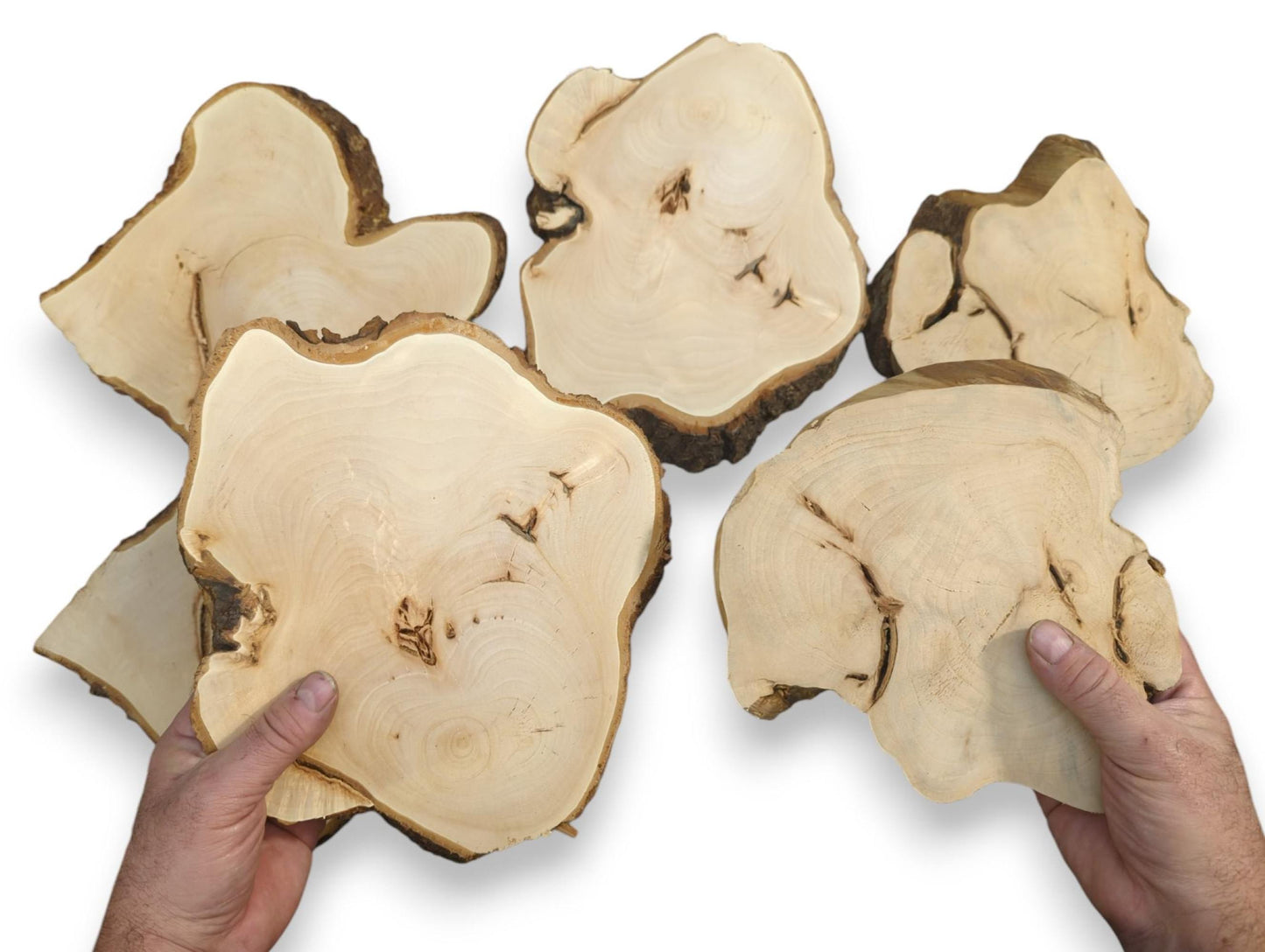 Pale linden wood slices, irregular with natural bark edges, showing smooth, planed faces and distinct grain.