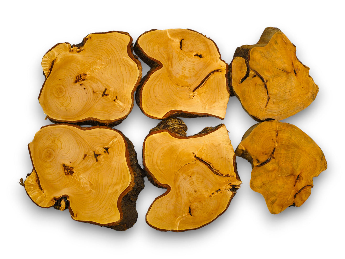 Six untreated linden wood slices, irregularly shaped, featuring light brown wood faces and dark bark.