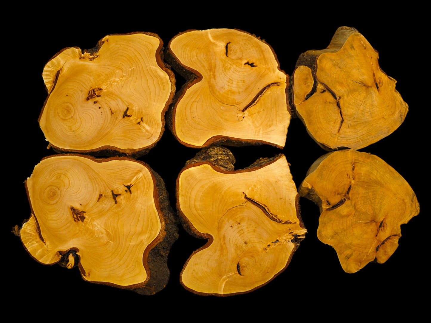 Six irregular, light brown linden wood slices with live bark edges, displaying natural grain and rings.