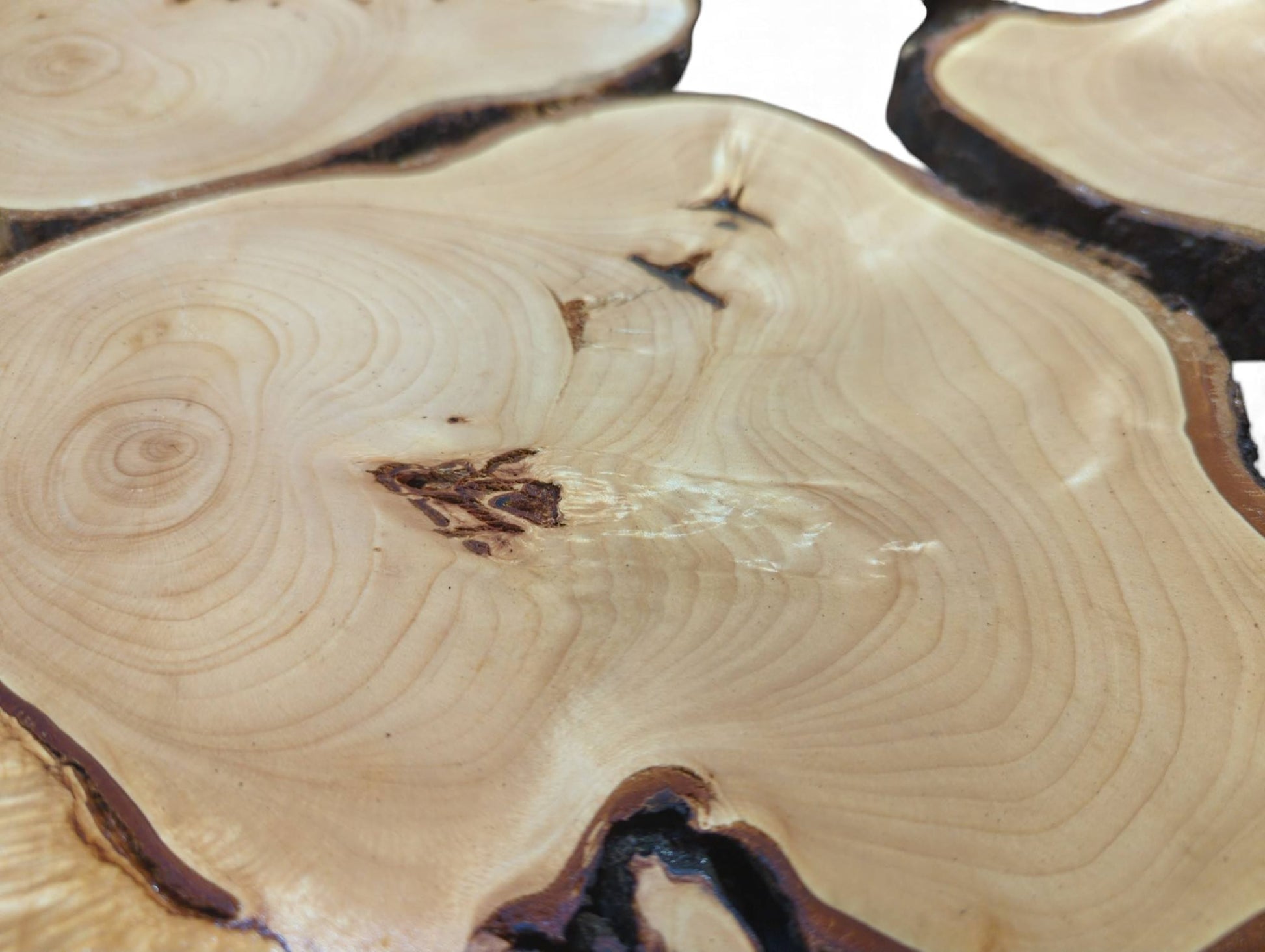 Close-up of irregular pale linden wood slices showing prominent grain, dark bark edges, and natural knots.