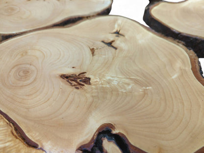 Close-up of irregular pale linden wood slices showing prominent grain, dark bark edges, and natural knots.