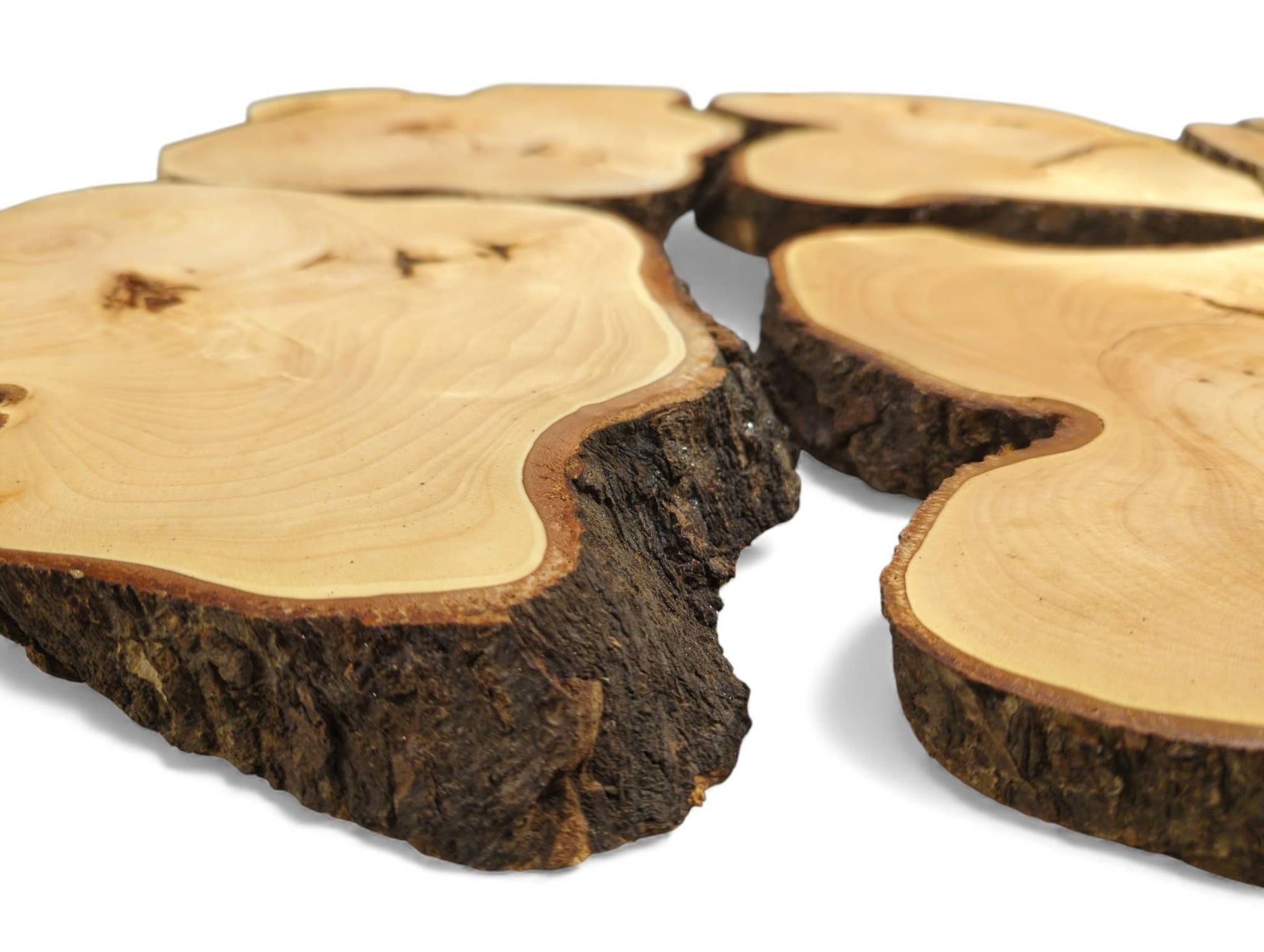 Several irregular linden wood slices displaying light, planed faces, visible grain, and dark natural bark edges.