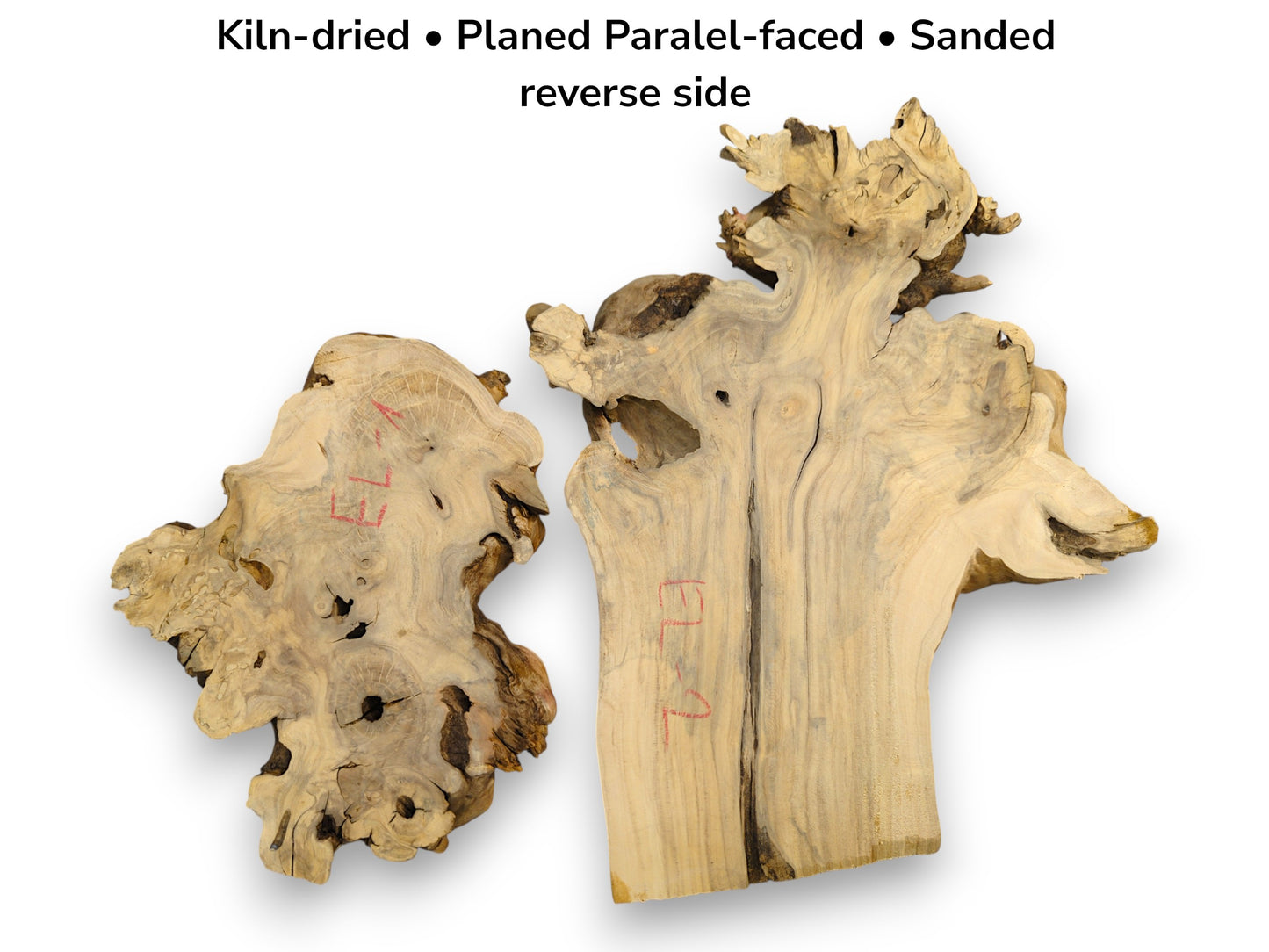 Two irregular, sanded elder burl slabs feature swirling grain, voids, and red crayon marks.