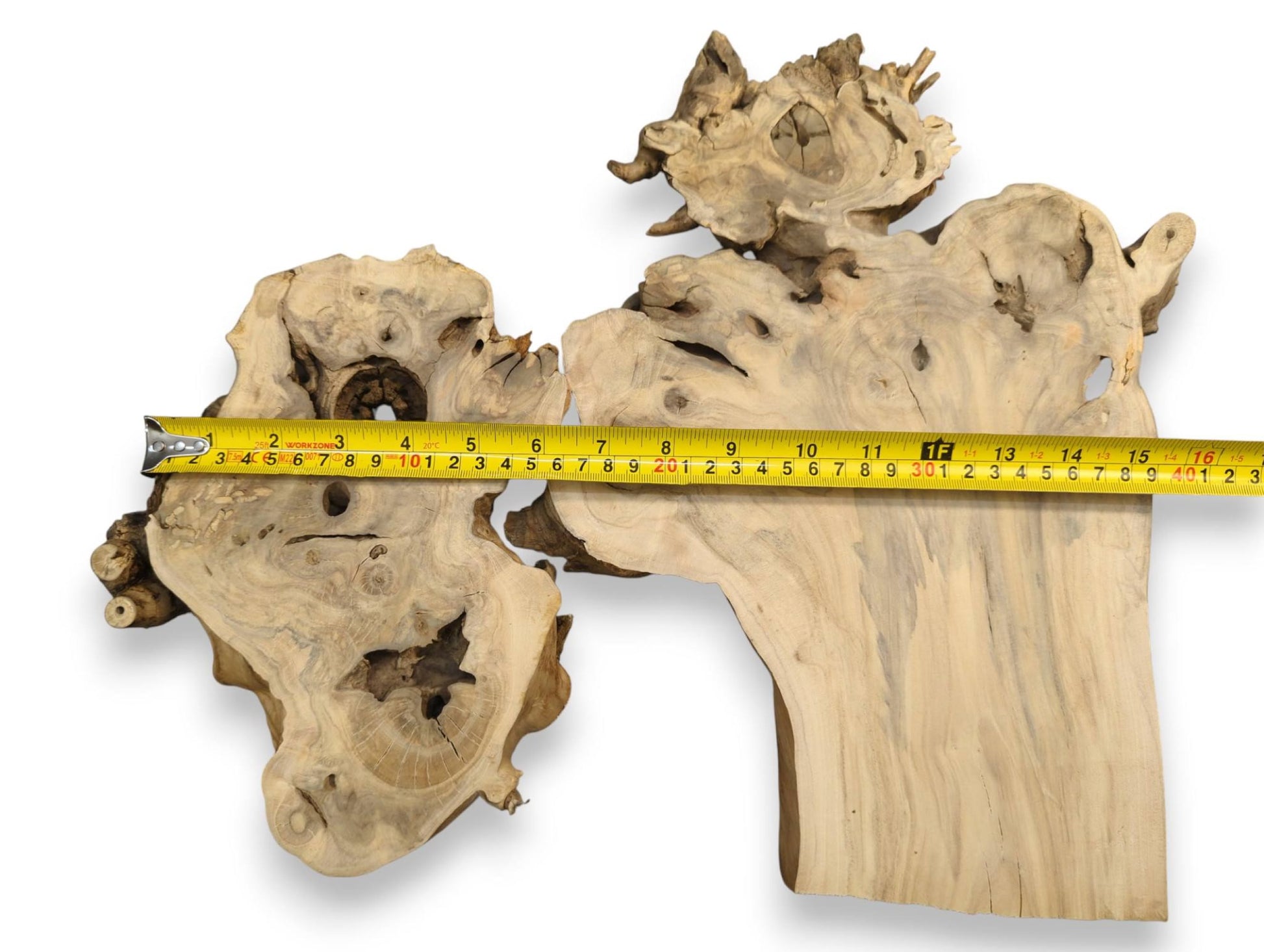 Two irregular, light-toned elderberry burl wood slabs with natural grain, holes, and a yellow measuring tape.