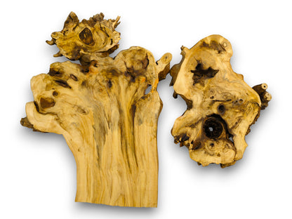 Two raw, light brown elderberry burl wood slabs with irregular shapes, natural grain, and visible holes.