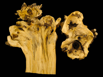 Two irregular, light-brown elderberry burl wood slabs with visible grain, dark knots, and natural holes.
