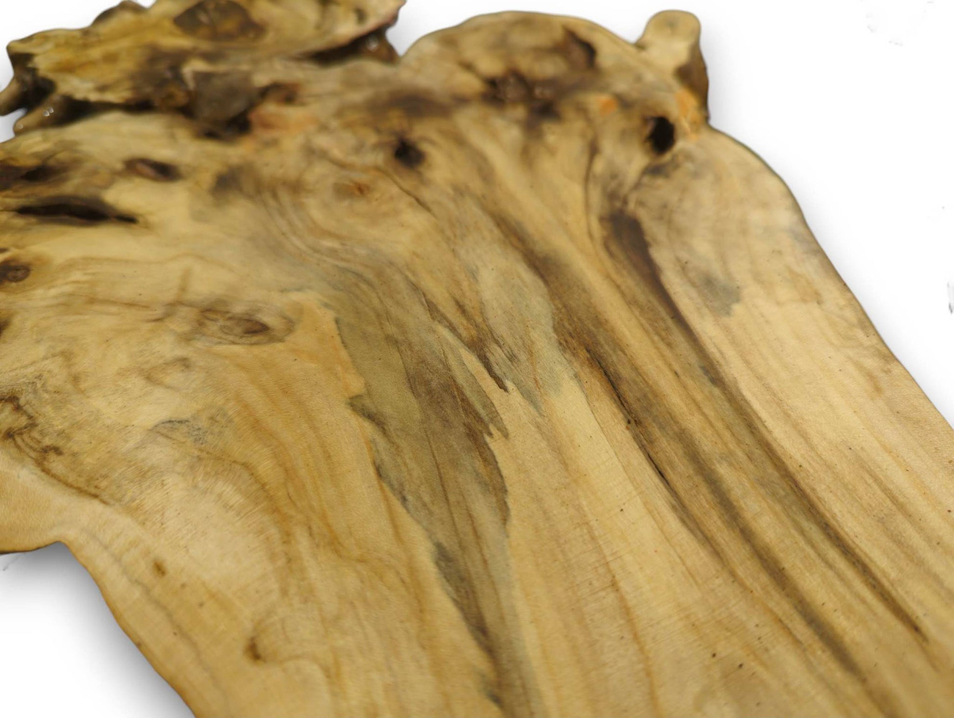 Light-toned, irregularly shaped elderberry burl wood slab showing natural grain patterns, knots, and darker streaks.