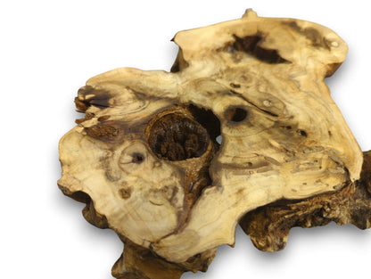 Light-colored, irregular elderberry burl wood slab featuring prominent grain, a deep central hole, and dark knots.