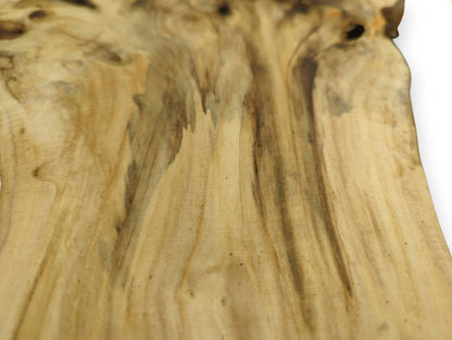 Detailed view of a light brown elderberry burl wood slab with dark streaks, natural grain, and holes.