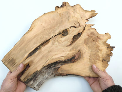 Wooden root sculpture held by hands against a white background