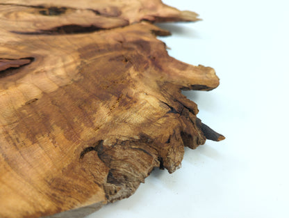 Close-up of a piece of rough-textured wood on a white background