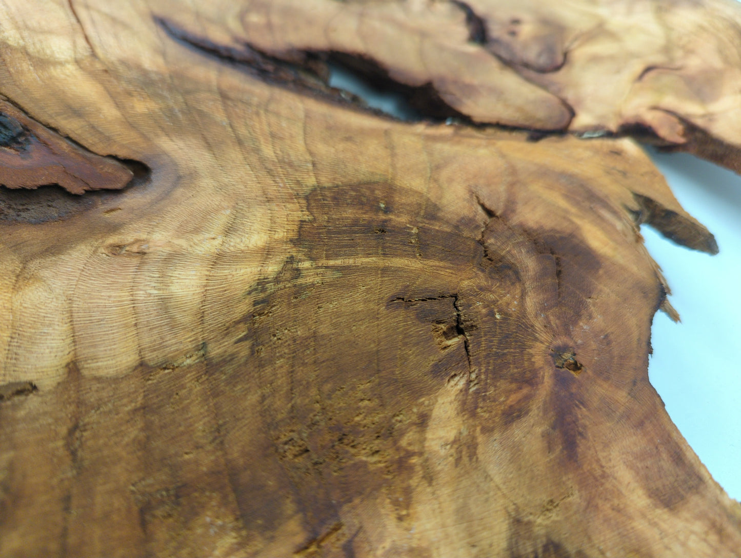 Close-up of a wooden surface with natural grain and texture
