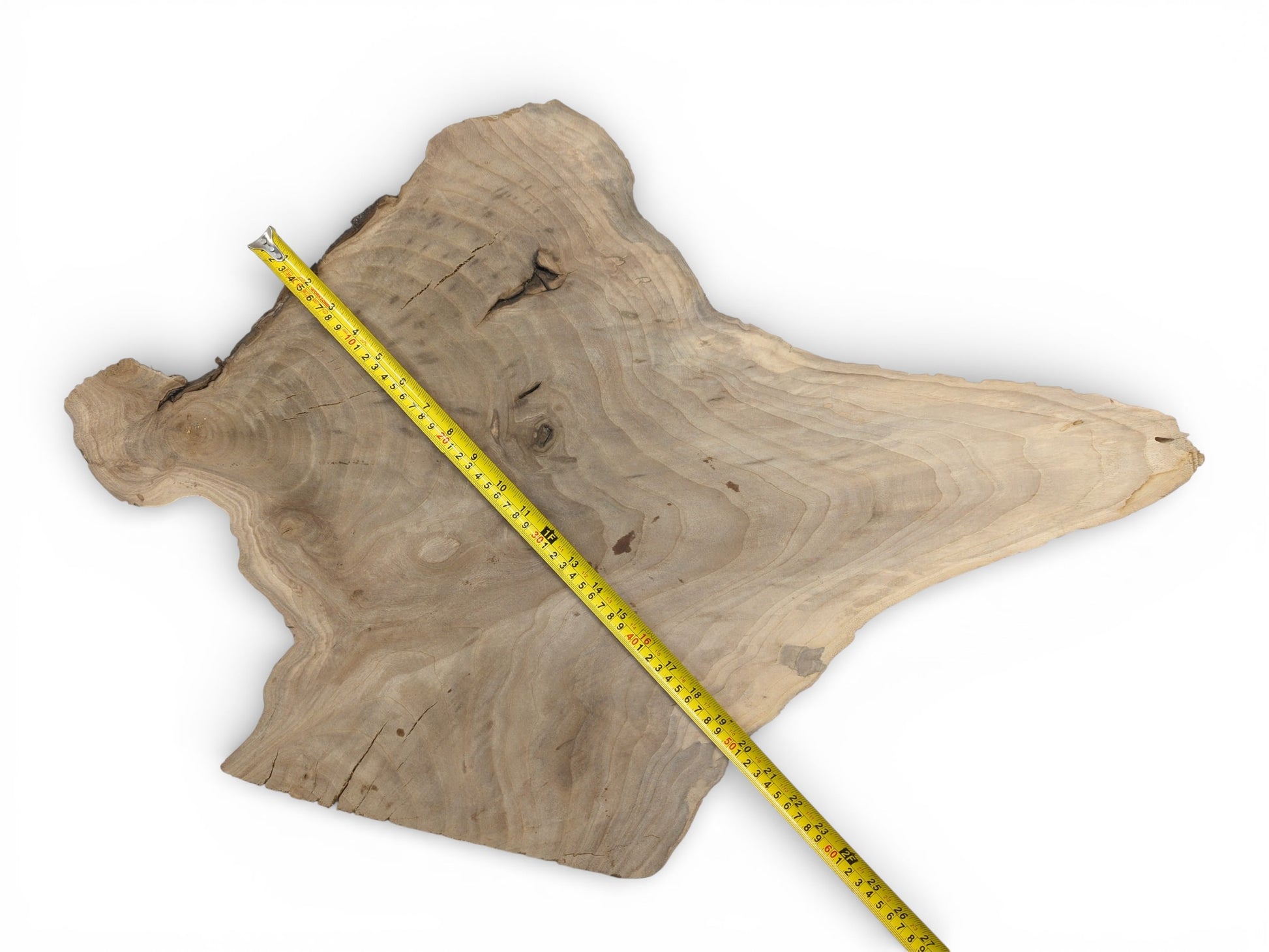 An overhead view of a raw, live edge walnut slab with a yellow tape measure displayed diagonally.