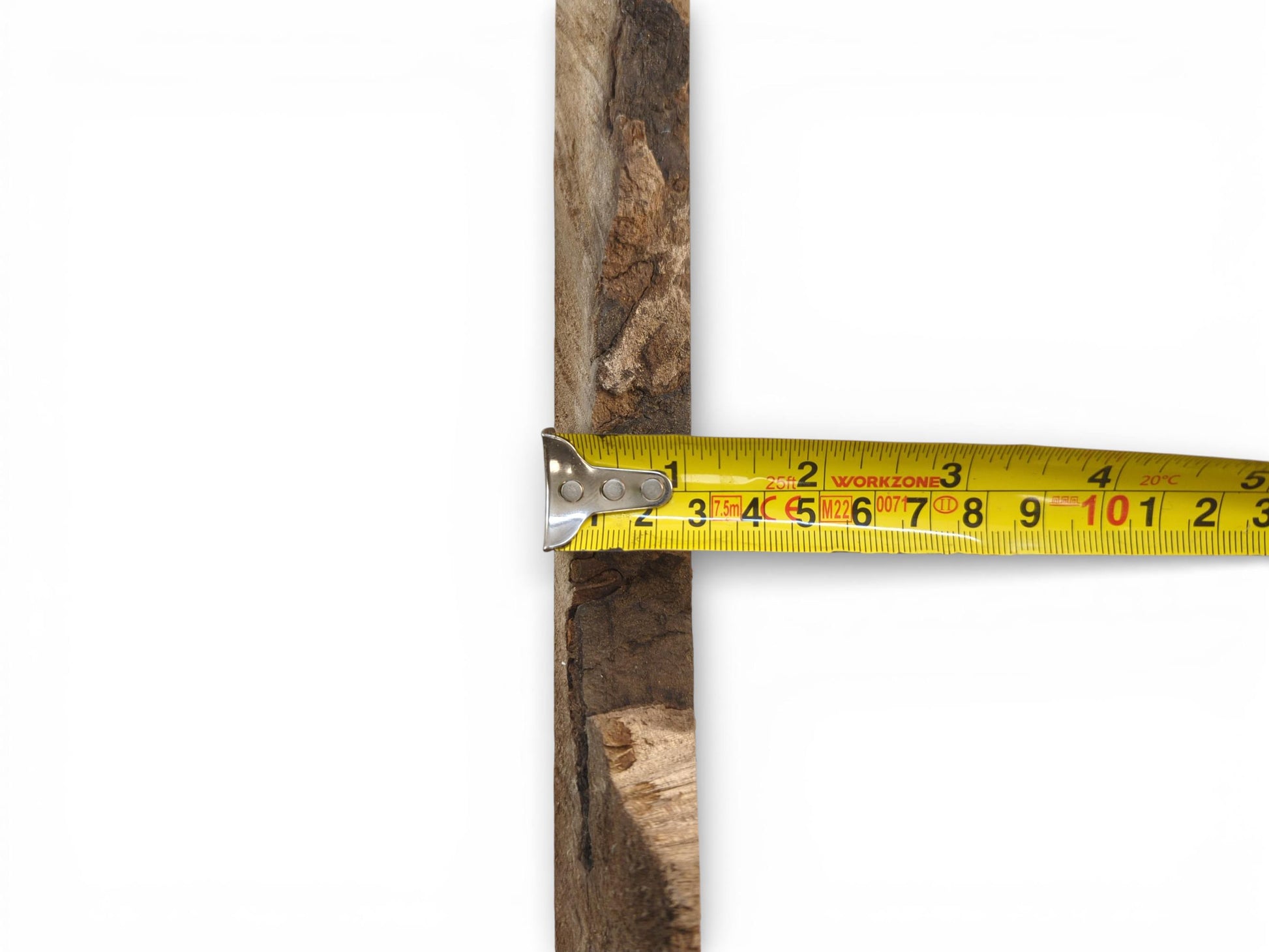 A yellow tape is held against the rough, bark-covered side of a wood slab, indicating its thickness.