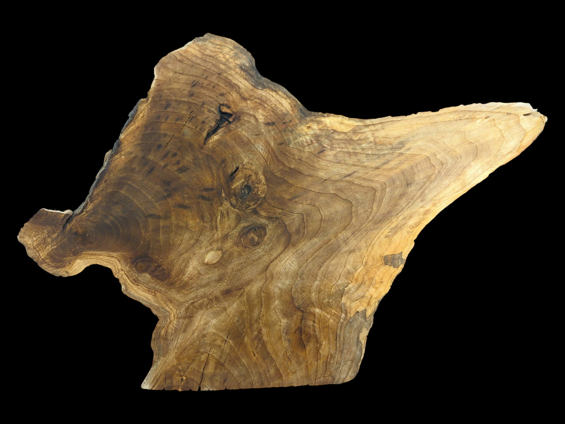 Top-down view of an asymmetrical walnut wood slice featuring prominent, swirling grain and several dark knots.