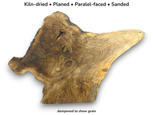 Image of a dampened walnut slab showing rich grain, with text detailing its preparation process.