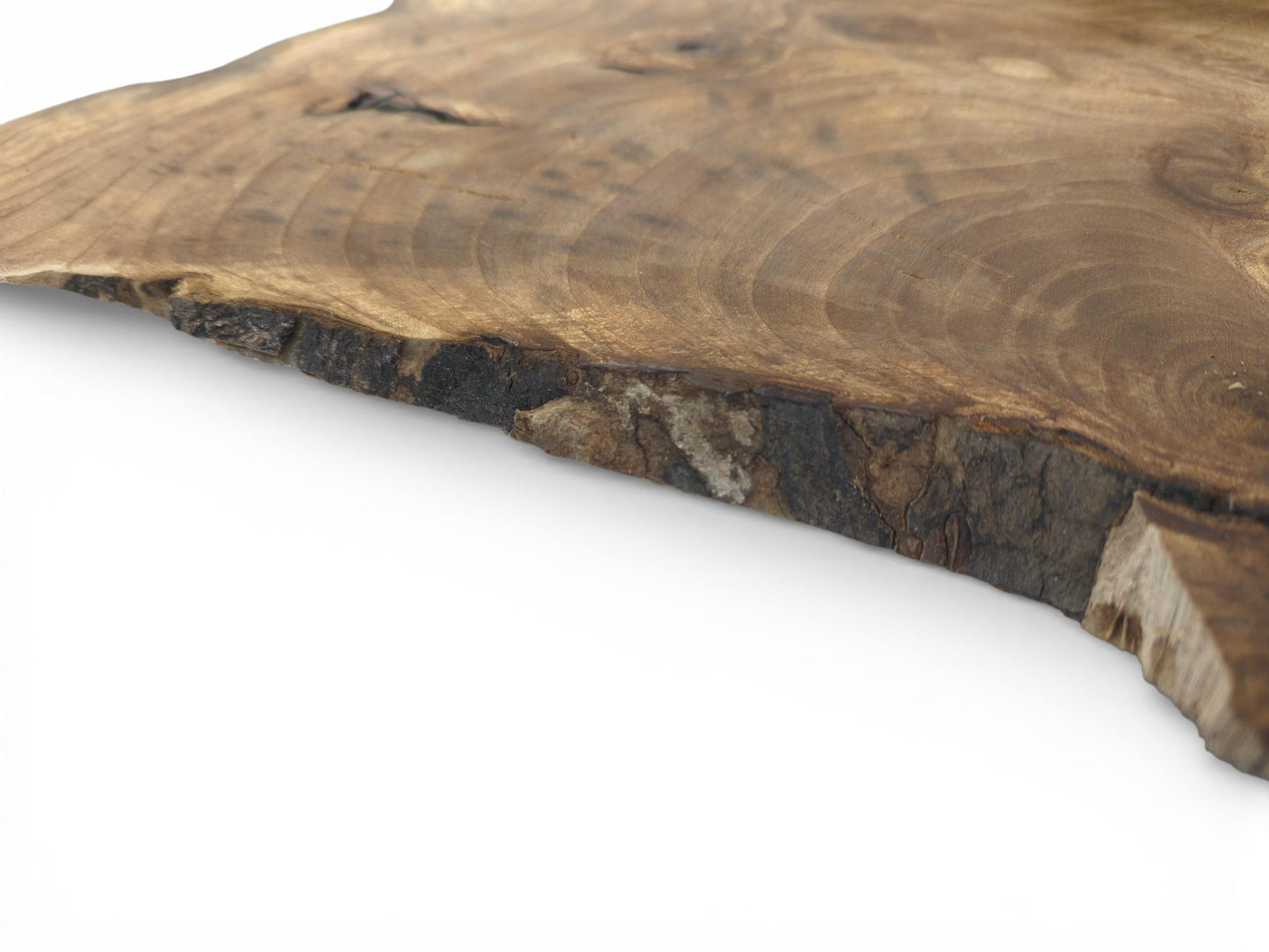 A low-angle view across a walnut slab, detailing the rugged, dark bark of its live edge.