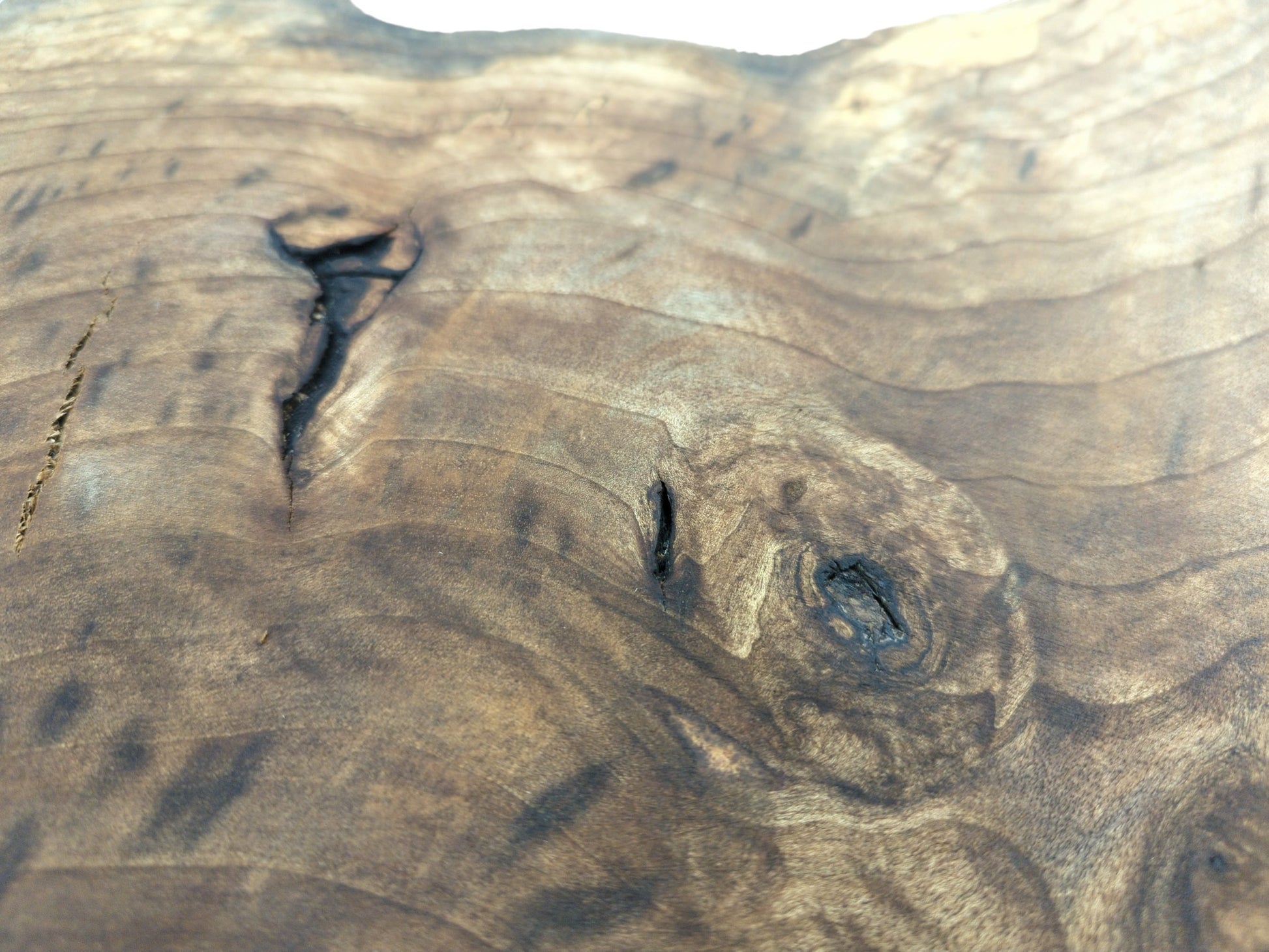 A detailed close-up of a finished walnut wood surface with dark knots and natural fissures.