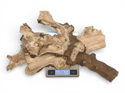 A burled hardwood root piece with red markings is displayed on a digital scale showing its weight.