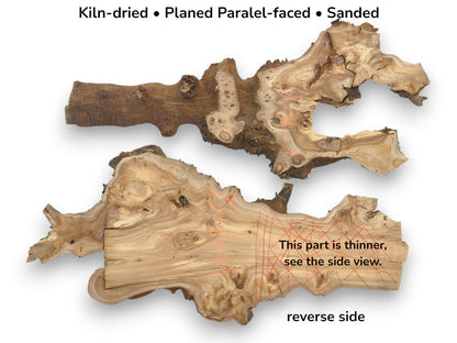 Image with text showing the front and reverse sides of a prepared tree root slab.
