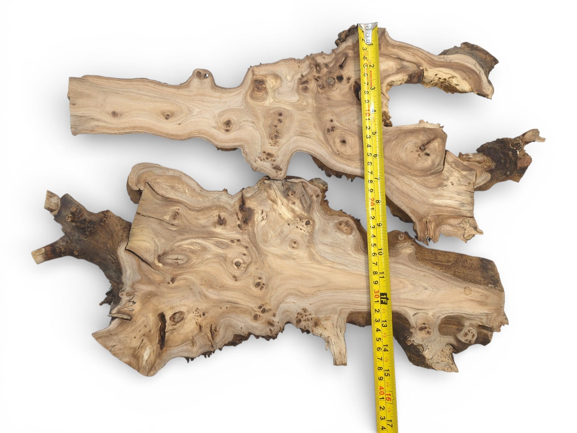 A pair of knotty, irregular wood slices displayed with a measuring tape along the larger piece.