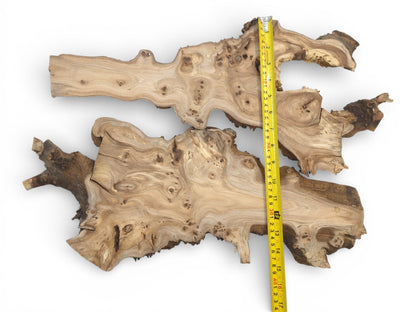 A pair of knotty, irregular wood slices displayed with a measuring tape along the larger piece.