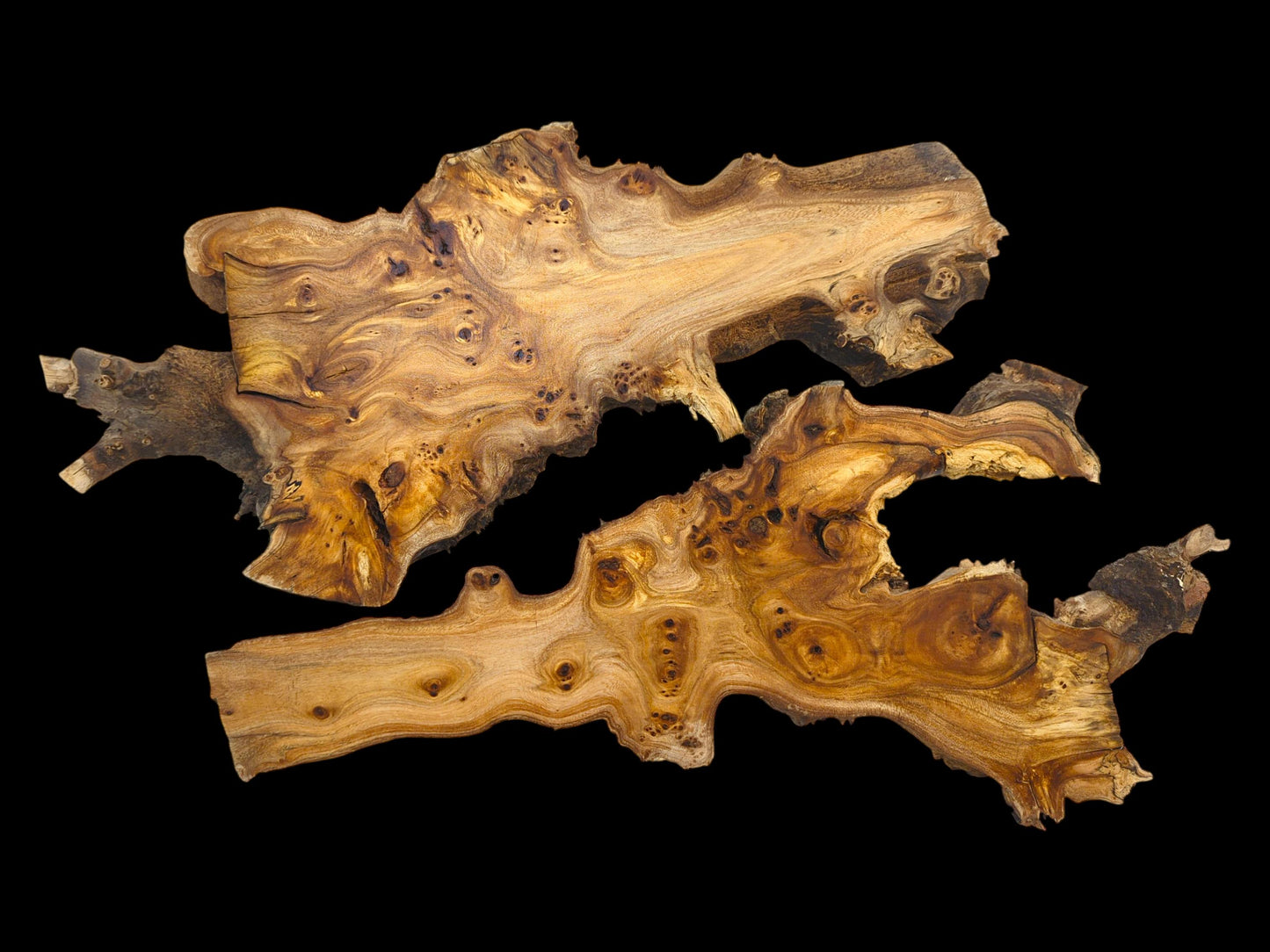 A pair of highly figured, organic-shaped wood root slabs positioned diagonally on a plain black surface.