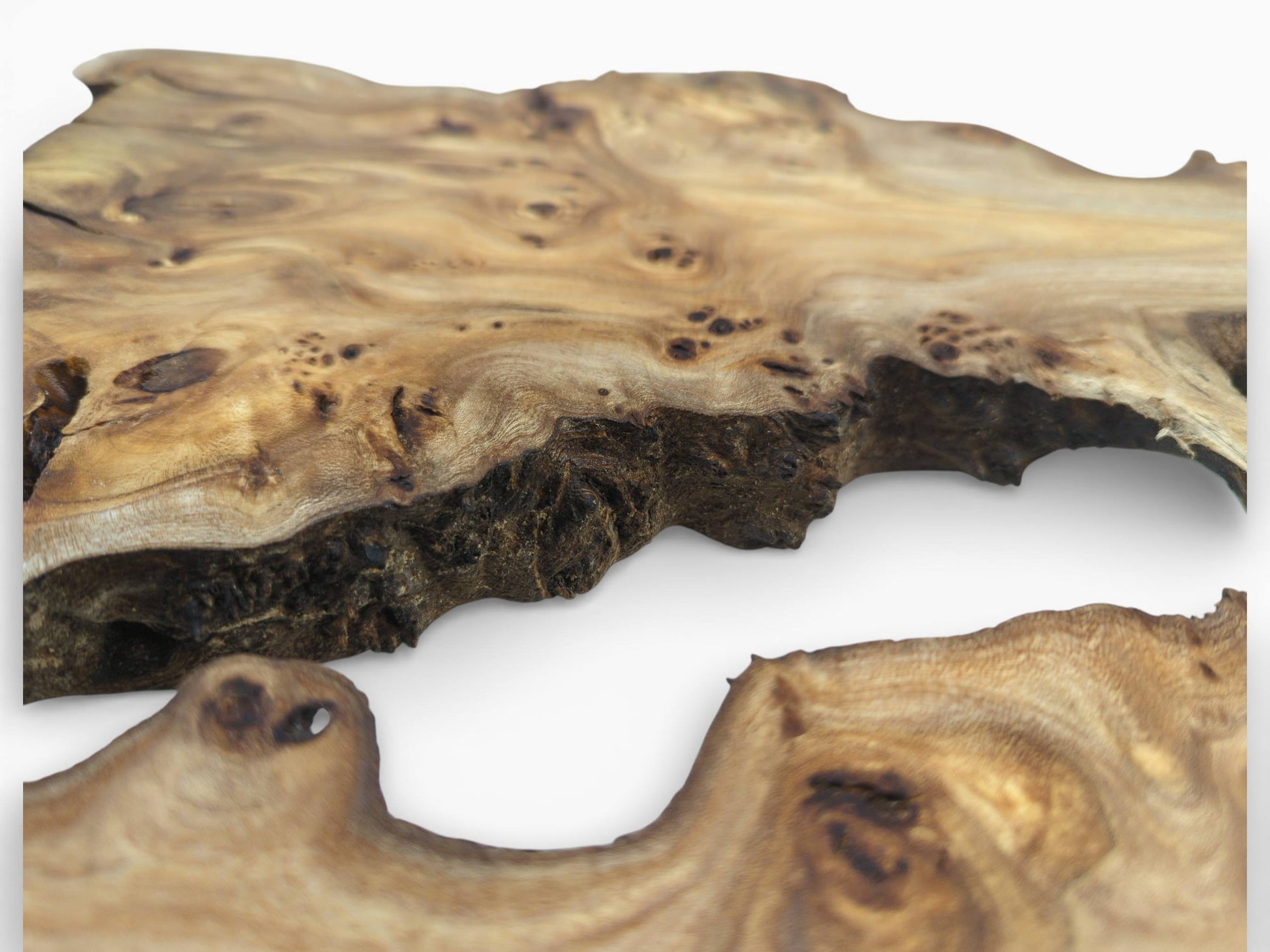 Close-up perspective on a burl wood slab, emphasizing the rustic texture of its live edge.
