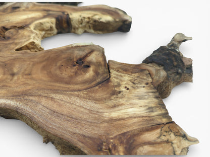 A close view of a freeform hardwood piece, highlighting its detailed grain and coarse, dark edging.