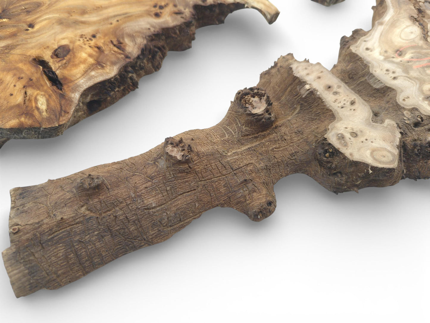 Detailed shot displaying a rugged tree root's bark texture next to a smooth, patterned burl slab.