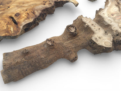 Detailed shot displaying a rugged tree root's bark texture next to a smooth, patterned burl slab.
