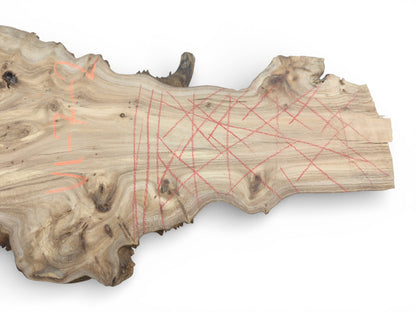 A hardwood burl slab with a natural edge, marked with red crosshatching and orange guidelines.