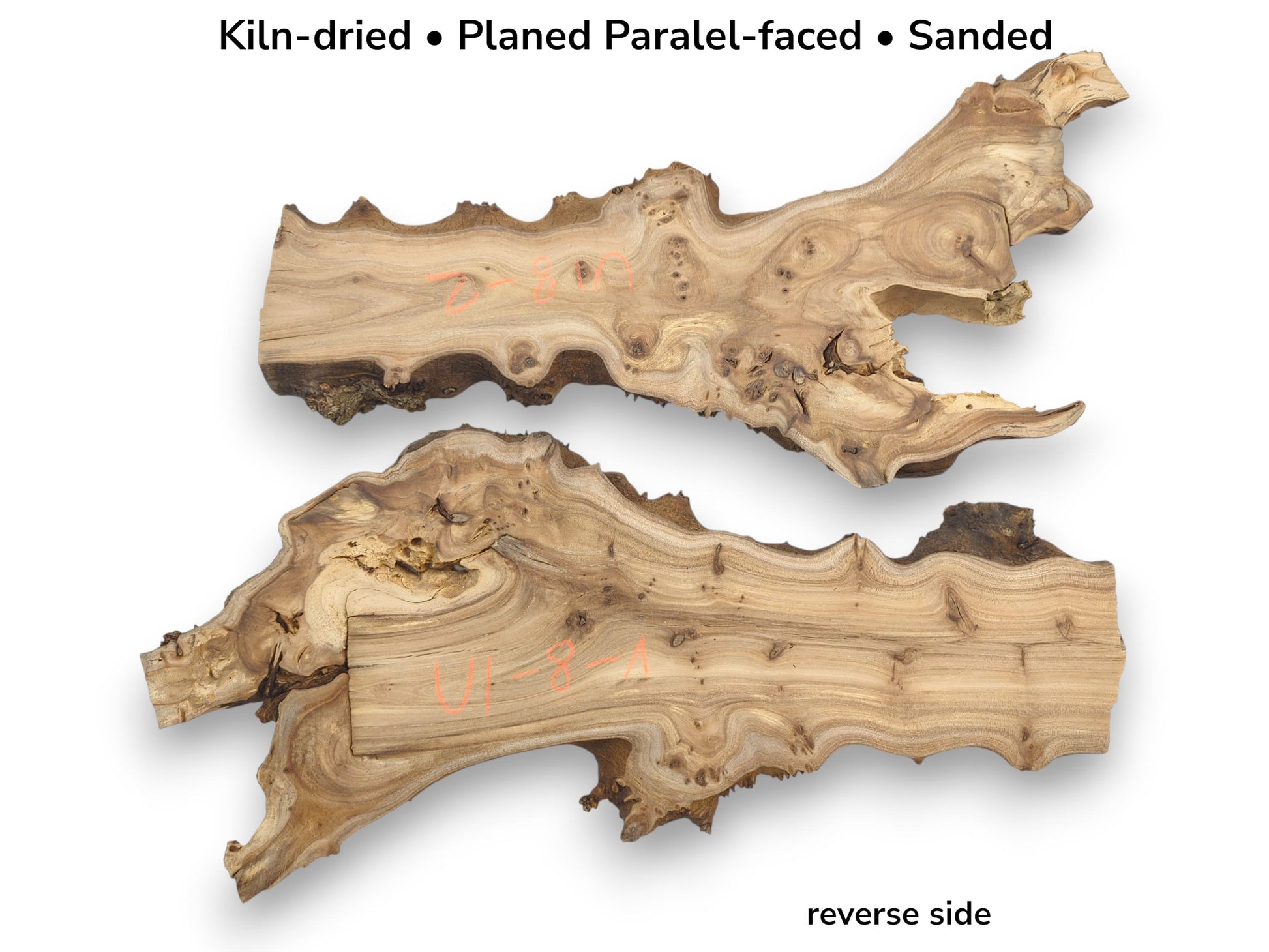 Top-down view of two prepared hardwood root slices, with text overlay describing their processed finish.