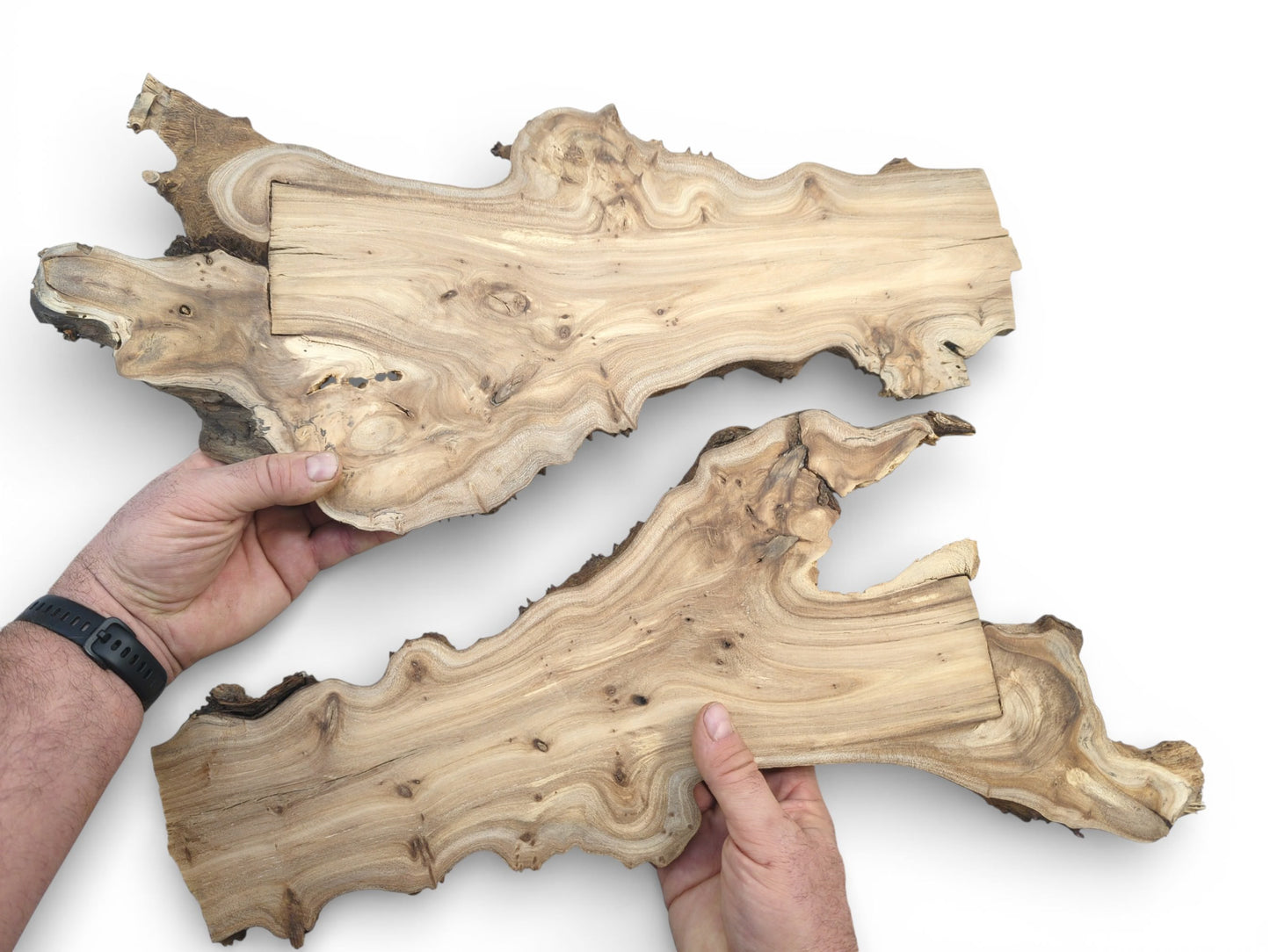 Hands holding a pair of matching, irregular wood slices, showing their swirling grain and bark edges.