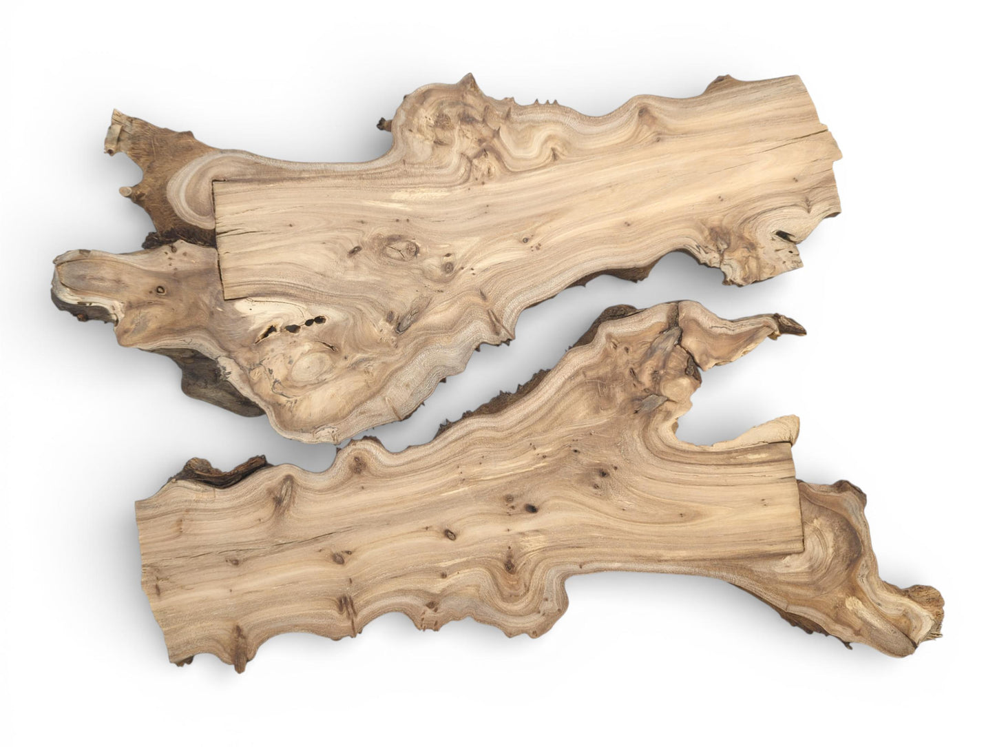 A flat lay of two matching hardwood slabs, featuring their irregular live edges and swirling grain.