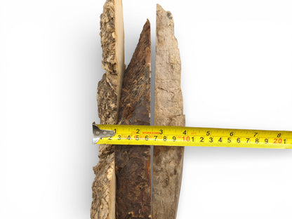 A yellow tape measure is extended across three different wood pieces to show their combined width.