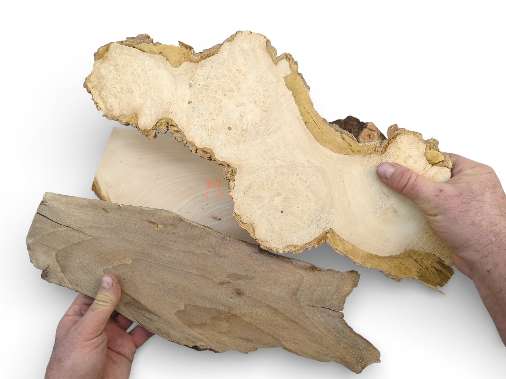 Hands display three raw wood pieces: a light-colored burl, a pale plank, and a darker slab.