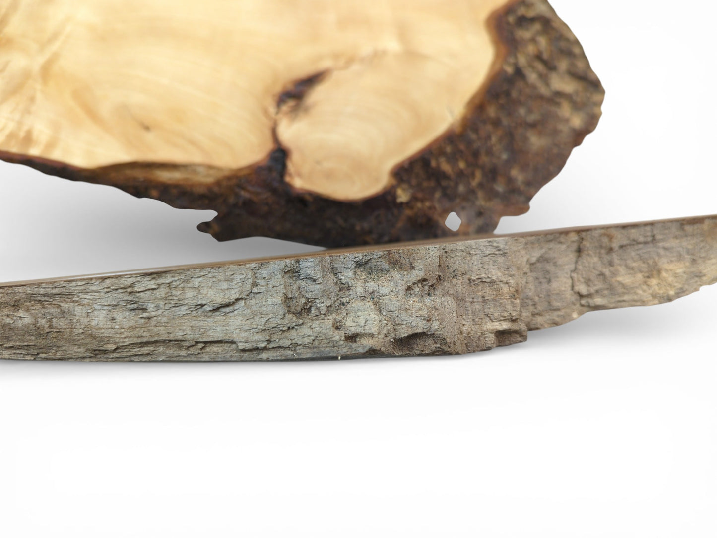 A close-up of a wood slab's rough, grey bark in front of a smooth, light-colored wood slice.