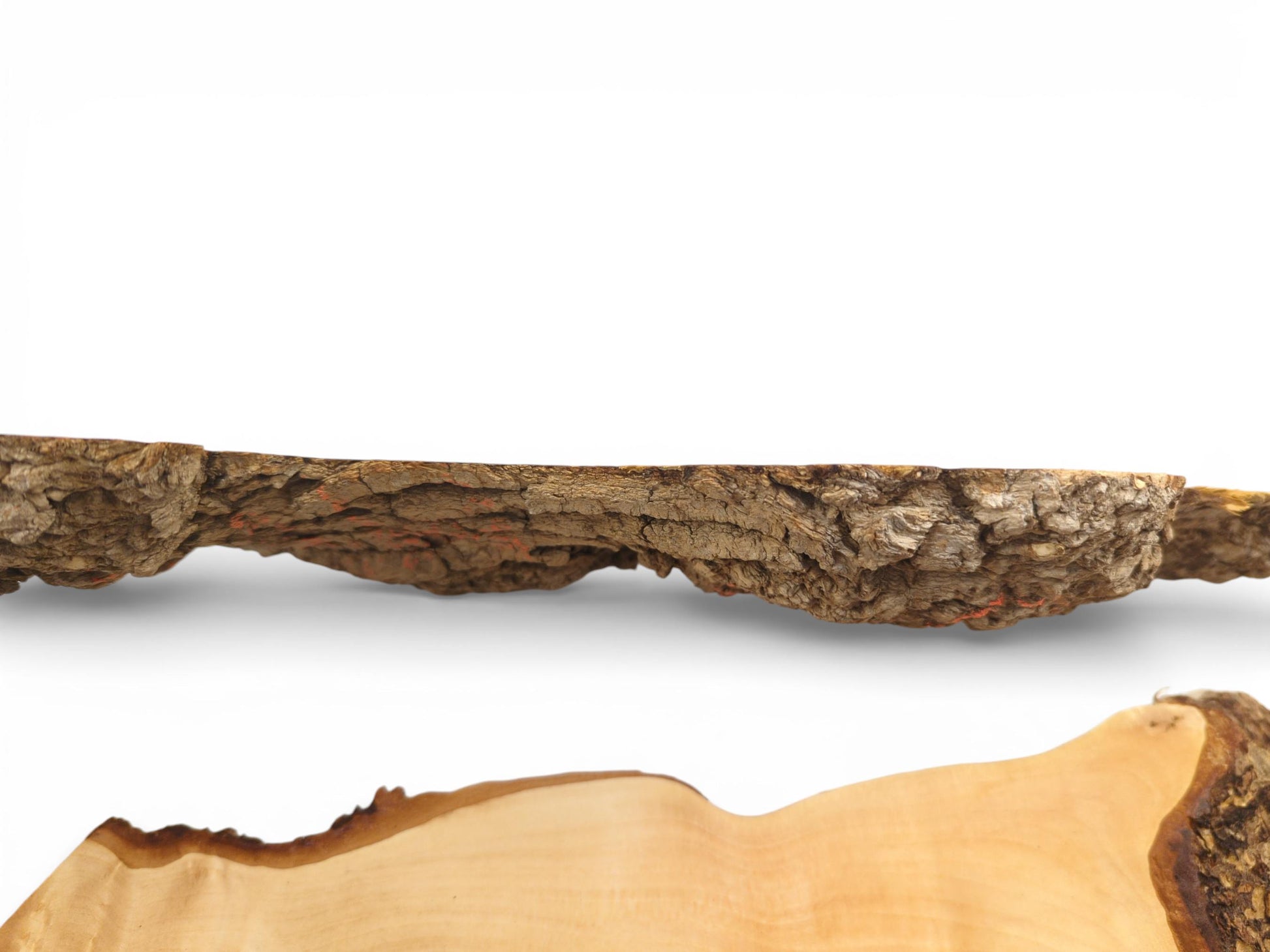 A composite view displaying the wood slab's rugged, thick bark profile above its sanded, pale surface.