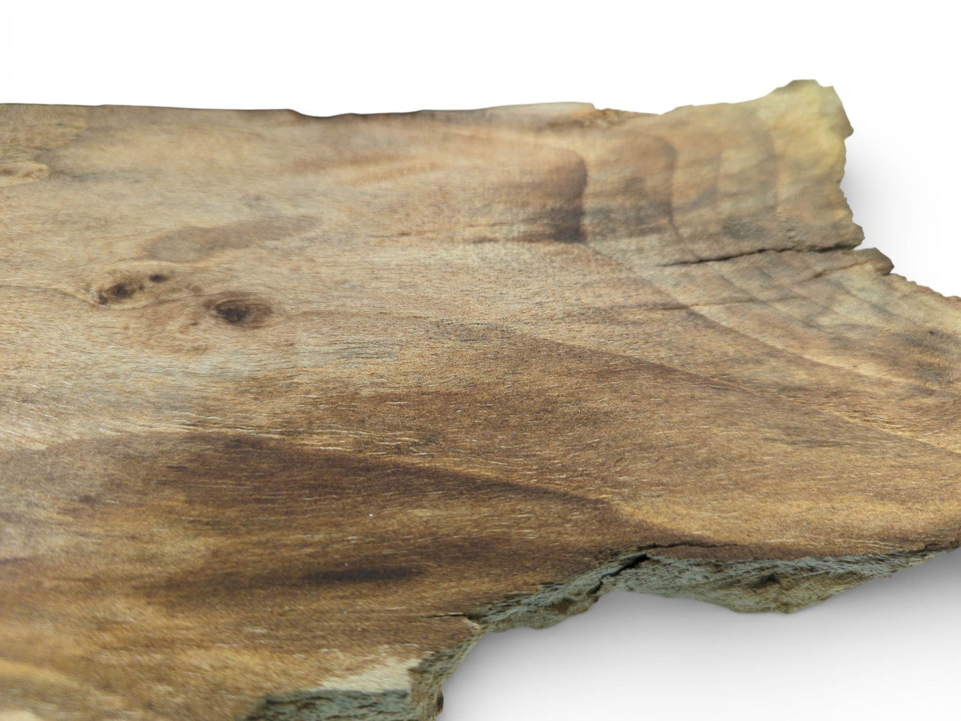An oblique view of a wood piece revealing its flowing dark grain and a rough, unfinished border.