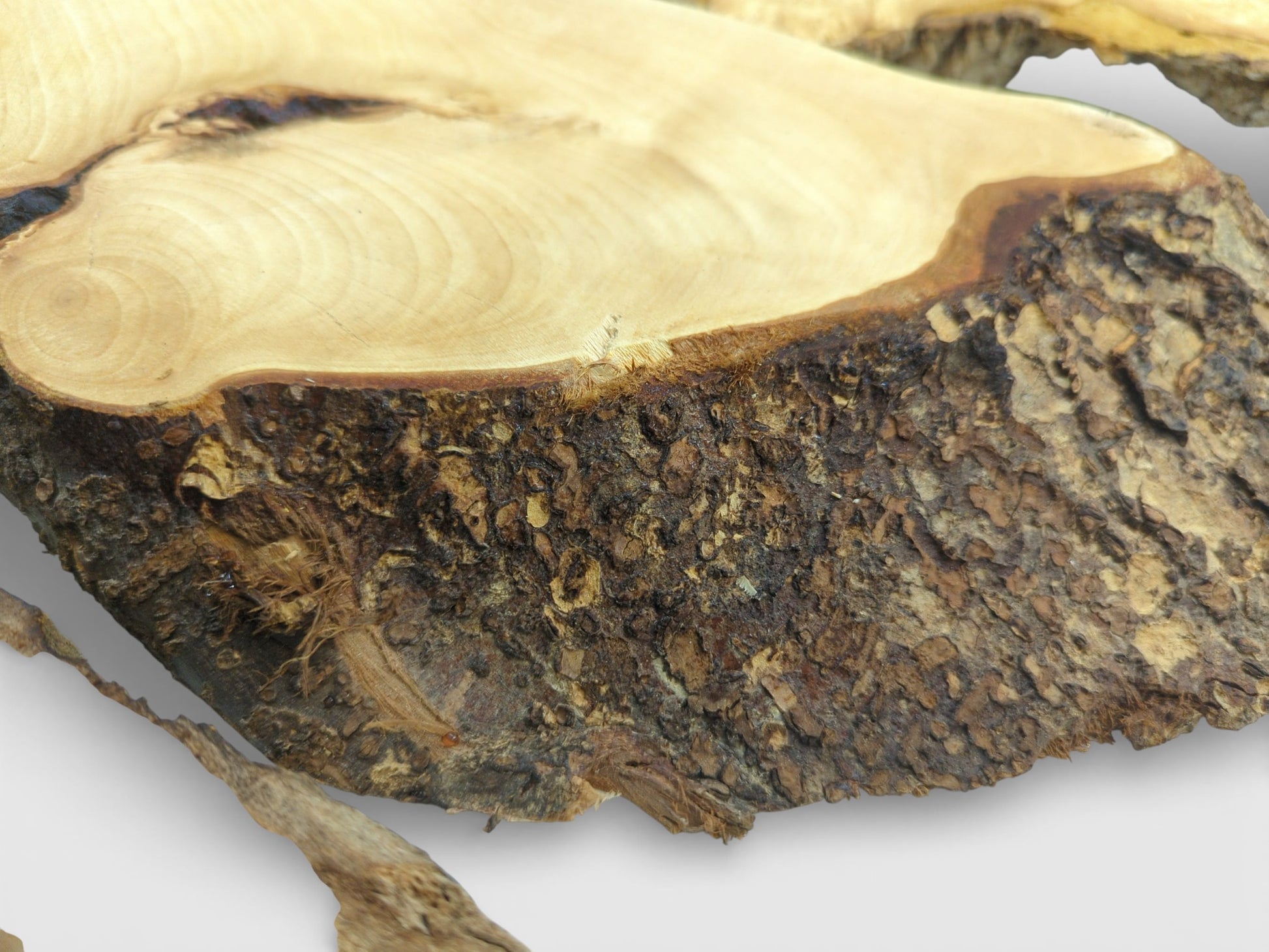 A focused shot on the wood slab's edge, contrasting its coarse, chunky bark with the smooth top.