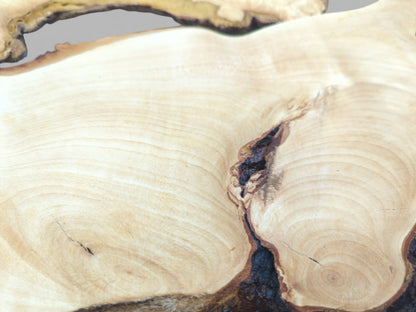 A close-up view of a light-colored wood surface with circular grain patterns and a dark crevice.