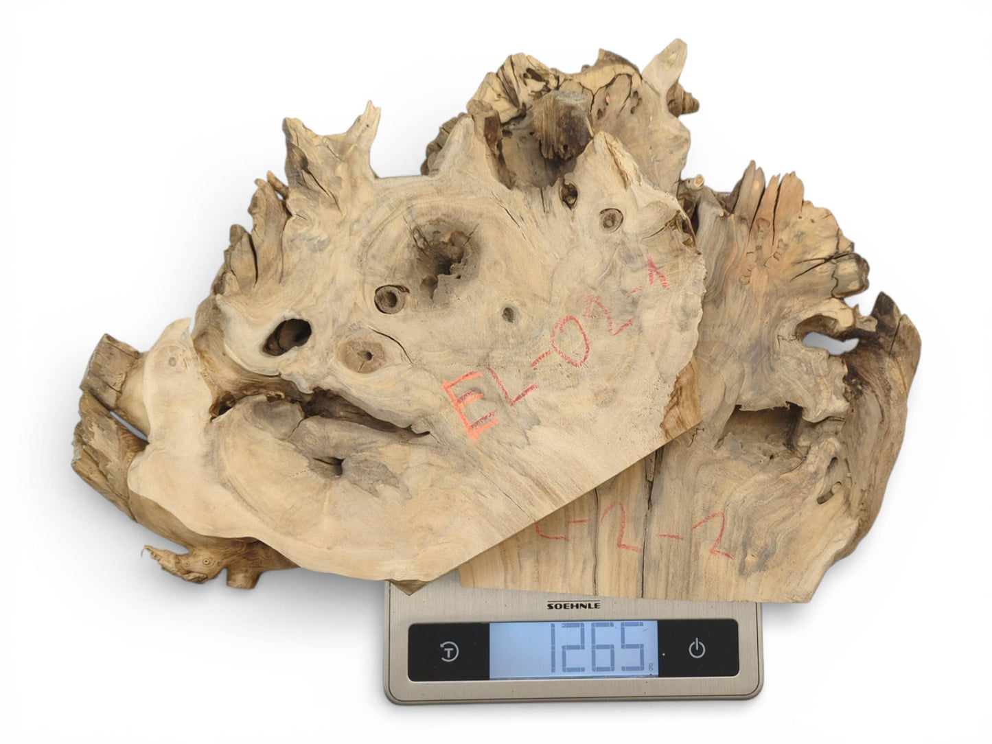 Two irregular elderberry root slabs with red identification markings are weighed on a digital scale showing 1265.