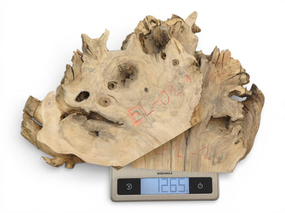 Two irregular elderberry root slabs with red identification markings are weighed on a digital scale showing 1265.